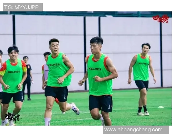 武汉足球队的成长之路：一段激情与奋斗交织的纪实故事