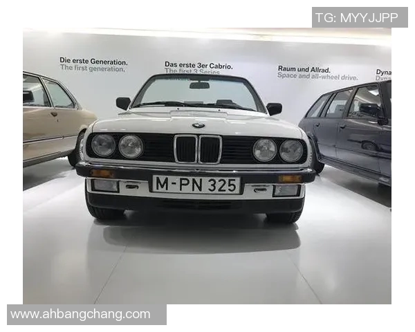 足球明星宝马的真实身份揭秘及其在足球界的影响力分析