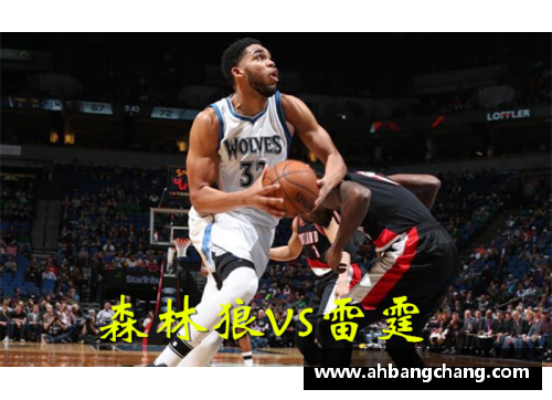 NBA明星中心狼带：球场风云与个人传奇