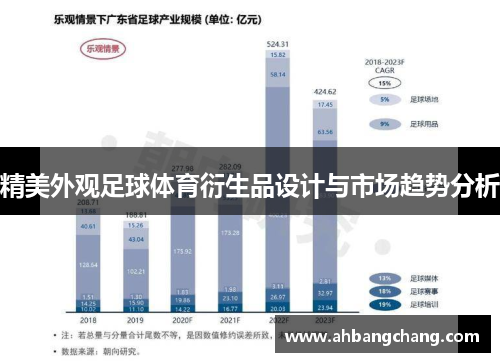 精美外观足球体育衍生品设计与市场趋势分析