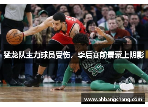 猛龙队主力球员受伤，季后赛前景蒙上阴影