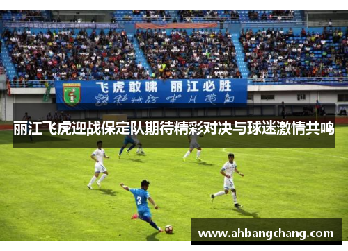 丽江飞虎迎战保定队期待精彩对决与球迷激情共鸣